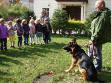 Bezpieczna zabawa z psem w przedszkolach