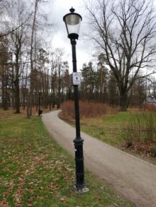 Psy i dodatkowa ścieżka dla rowerów w parku Zdrojowym