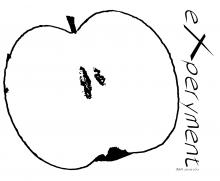 BWA - 3xZ experyment
