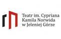 „Projekt WYOBRAŹNIA, czyli o animacji w teatrze” Gabriela Mikityn