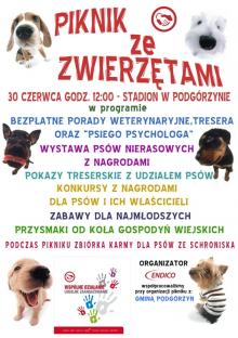 Piknik ze zwierzętami w Podgórzynie